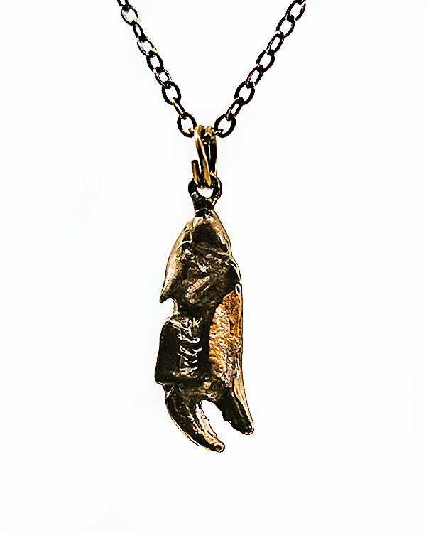 Collier Pince de crabe Gaspésie avec chaine en laiton couleur nickel bronze
